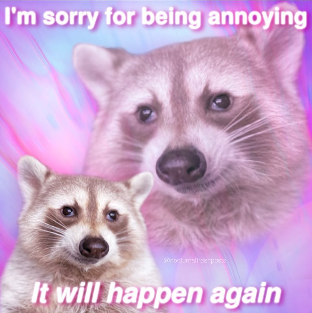 Raccoon meme: "I'm sorry for being annoying. It will happen again"