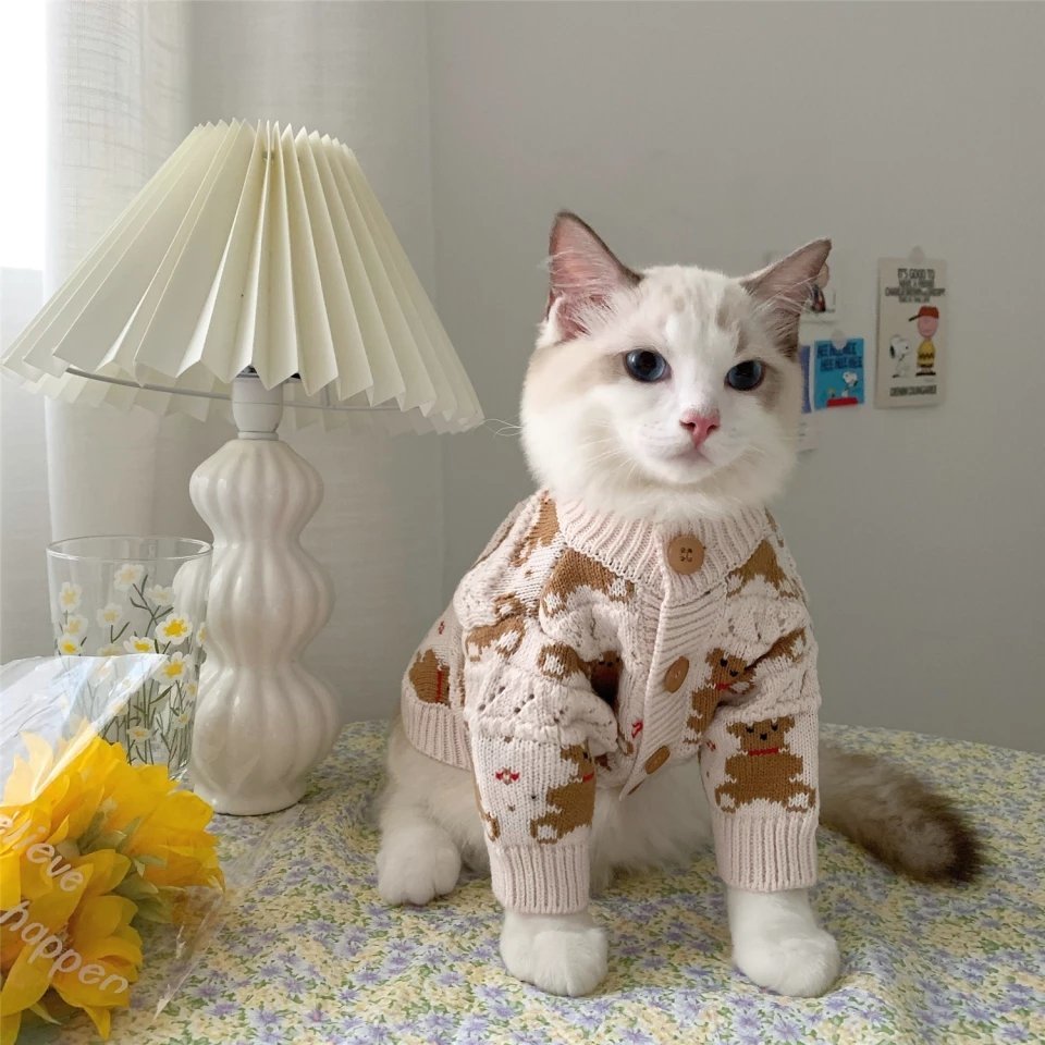 A cat wearing a button-up teddy bear sweater