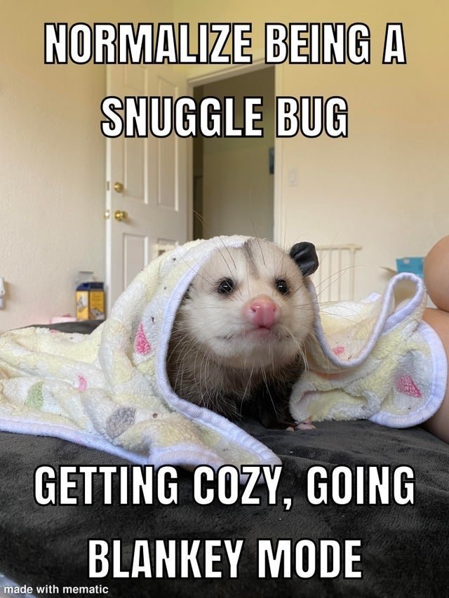 Meme of a possum in a blanket: "Normalize being a snuggle bug -- getting cozy, going blankey mode"