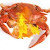 burnt_crab