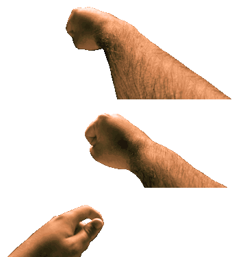 cranfists_paletted.png.500030a35d1c55281c2809e8ba4356b2.png