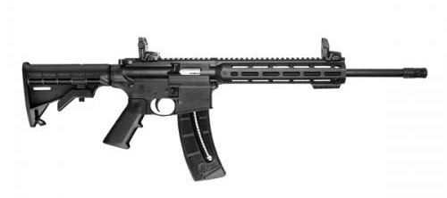 Smith-Wesson-MP15-22-Sport-Rifle-Gallery-1.jpg.2079cd5a01822b21bf75304534444255.jpg